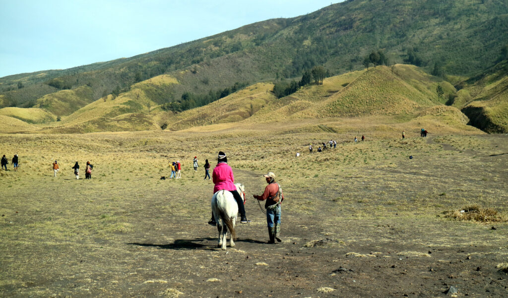 6 Aktivitas Menarik Saat Berwisata di Gunung Bromo 7 Bukit Teletubbies di kawasan perbukitan Gunung Bromo, salah satu spot wisata di gunung Bromo.