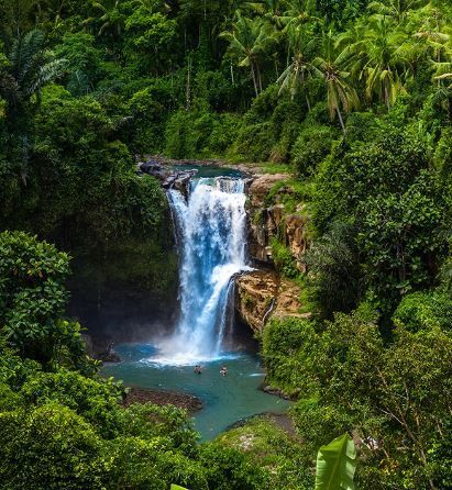 Secret Jungle Tegenungan Waterfall Bali Indonesia
